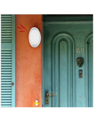 TORTUGA OVAL POLIPROPILENO LISA ARO ALTO BLANCO...