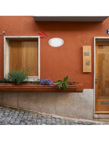 TORTUGA OVAL POLIPROPILENO LISA ARO ALTO BLANCO...