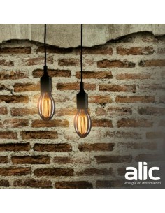 LAMPARA ANTIQUE FILAMENTO BT54 24W LUZ CALIDA 2