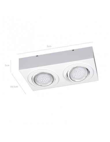 PLAFON LAGUNA 2 LUCES AR111 BLANCO