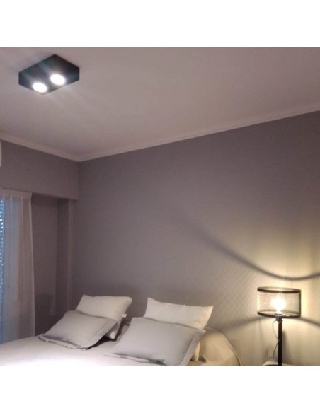 PLAFON LAGUNA 2 LUCES AR111 BLANCO