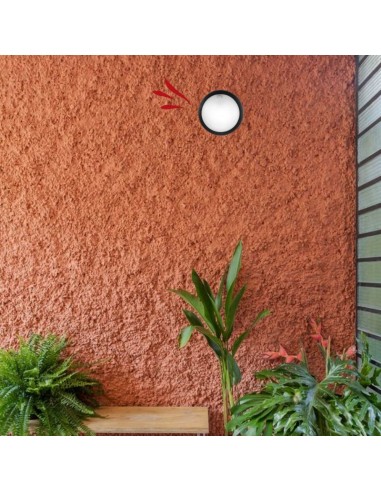 TORTUGA REDONDA POLIPROPILENO LISA ARO ALTO...