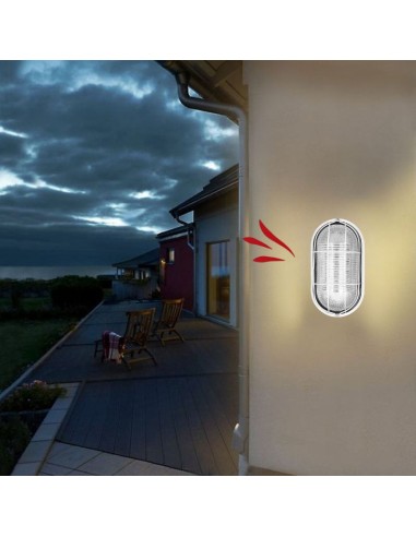 TORTUGA CHAPA OVAL GRANDE E27 NEGRO 25X13CM *