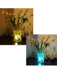 LUZ LED SUMERGIBLE RGB A PILAS AAX3 2