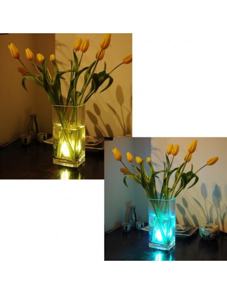 LUZ LED SUMERGIBLE RGB A PILAS AAX3