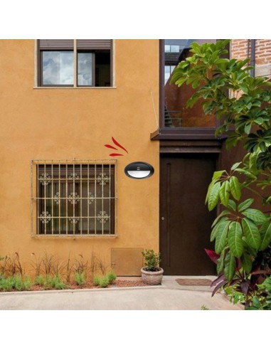 TORTUGA OVAL POLIPROPILENO C/ VISERA ARO ALTO...