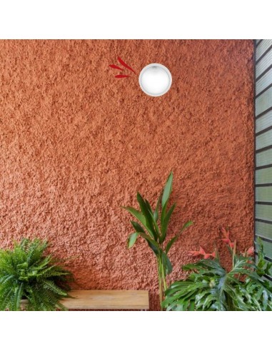 TORTUGA REDONDA POLIPROPILENO LISA ARO ALTO...