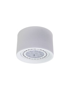 SPOT MONOVOLUMEN AR111 FIJO BLANCO