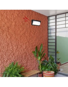 TORTUGA POLIPROPILENO RECTA C/ VISERA NEGRO 2